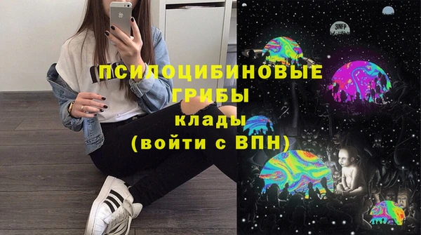 герыч Арсеньев