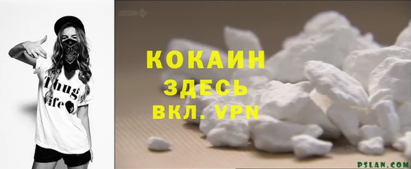 гидра Аркадак