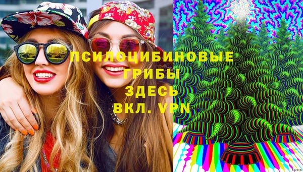 гидра Аркадак