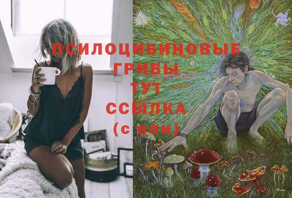 герыч Арсеньев