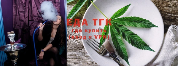 гидра Аркадак