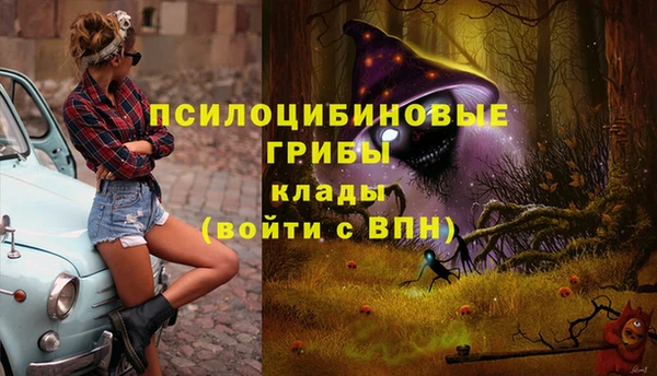 первитин Армянск