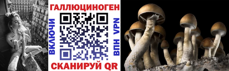 где найти наркотики  Северо-Курильск  Псилоцибиновые грибы мухоморы 