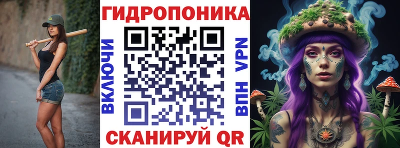 Бошки Шишки план Северо-Курильск